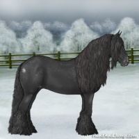 Horse Color:Black Varnish Rabicano 