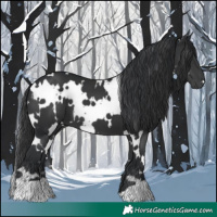Horse Color:White Spotted Black 
