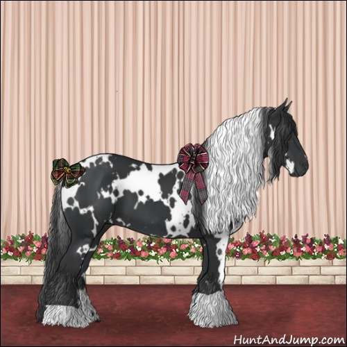 Horse Color:White Spotted Black 