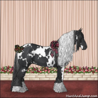 Horse Color:White Spotted Black