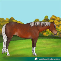 Horse Color:Silver Brown 