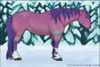 Horse Color:Watercolor White Spotted Buckskin Tobiano 