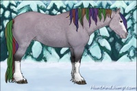 Horse Color:Painted White Spotted Buckskin Appaloosa 