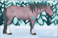 Horse Color:Watercolor White Spotted Buckskin Dun 