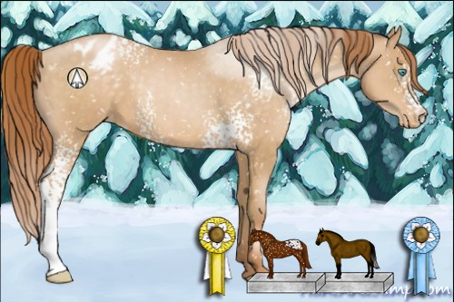 Horse Color:White Spotted Buckskin Pearl Appaloosa