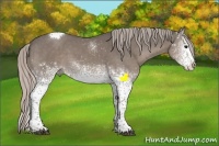 Horse Color:White Spotted Silver Black Splash Tobiano Rabicano