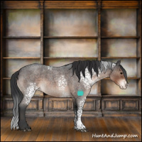 Horse Color:White Spotted Brown Roan Varnish