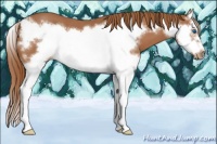 Horse Color:Red Roan Splash Frame 