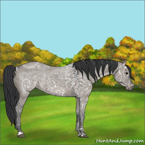 Horse Color:Grullo Ice 