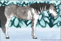 Horse Color:Grullo Ice Splash 
