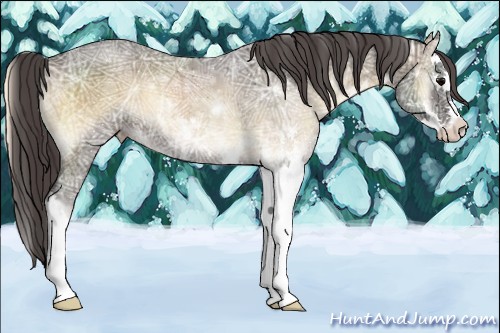 Horse Color:Smoky Blue Onyx Ice Sabino Splash 