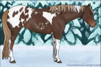 Horse Color:Liver Chestnut Tobiano Blanket