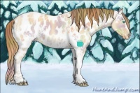 Horse Color:Nacre White Spotted Amber Cream Champagne Ice Dun Sabino Appaloosa 