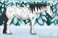 Horse Color:Blue Onyx Sabino Near Leopard 