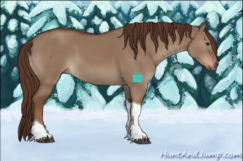 Horse Color:Liver Red Dun Sabino Tobiano