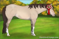 Horse Color:Amber Champagne Dun 
