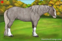 Horse Color:Silver Blue Roan Splash 