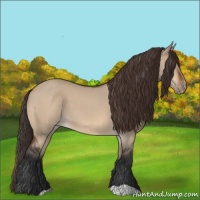 Horse Color:Bay Dun Varnish 