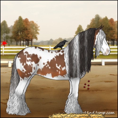 Horse Color:White Spotted Bay Splash Varnish 