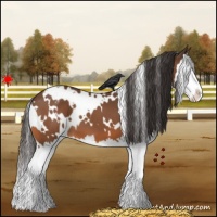 Horse Color:White Spotted Bay Splash Varnish 