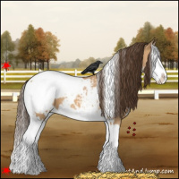 Horse Color:White Spotted Bay Dun Splash Snowcap 
