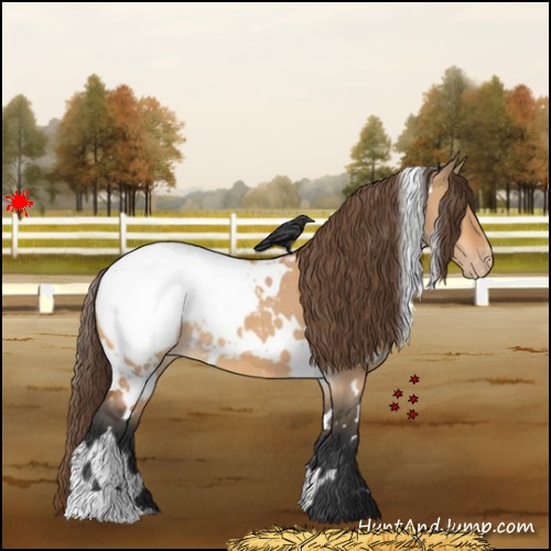 Horse Color:White Spotted Bay Dun Snowcap 