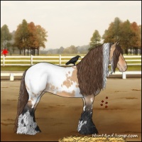 Horse Color:White Spotted Bay Dun Snowcap 