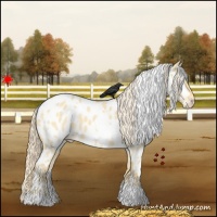 Horse Color:White Spotted Palomino Roan Dun Near Leopard 