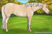 Horse Color:Silver Amber Champagne Ice