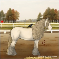 Horse Color:Amber Cream Champagne Dun Varnish 