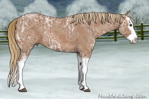 Horse Color:Red Ice Roan Splash