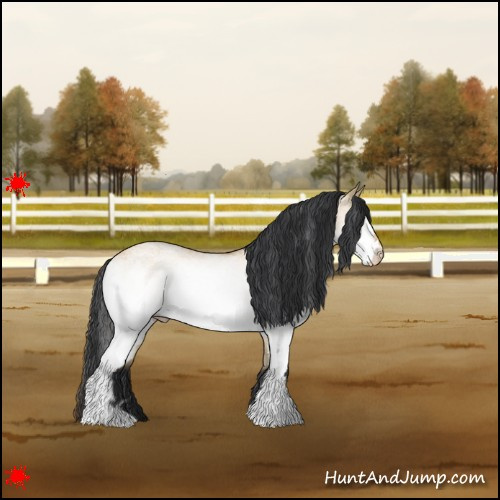 Horse Color:White Spotted Bay Dun