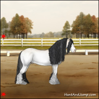 Horse Color:White Spotted Bay Dun