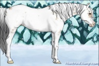 Horse Color:Brown Dun Sabino Rabicano 