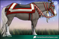 Horse Color:White Spotted Silver Black 