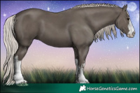 Horse Color:White Spotted Silver Black 