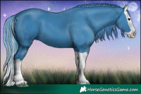 Horse Color:Watercolor Black Splash 