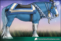 Horse Color:Watercolor Black Splash