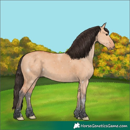 Horse Color:Bay Dun