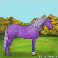 Horse Color:Watercolor Silver Brown 