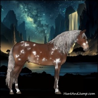 Horse Color:White Spotted Silver Bay 