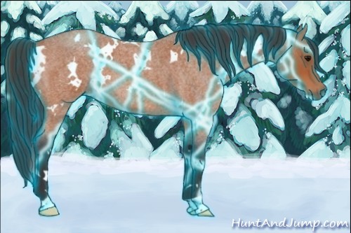 Horse Color:Thunderstruck White Spotted Bay Roan 