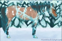 Horse Color:Thunderstruck White Spotted Bay Roan 