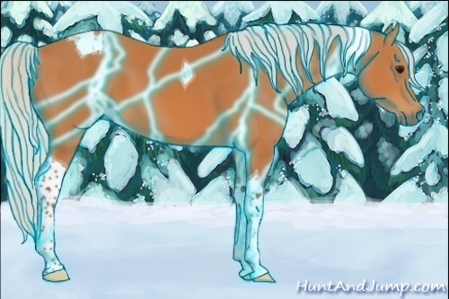 Horse Color:Thunderstruck Silver Bay Tobiano 