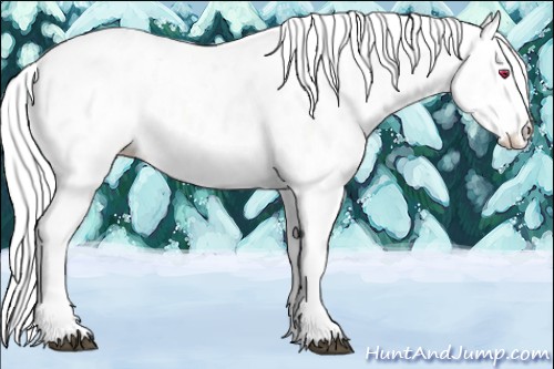 Horse Color:Liver Chestnut Chinchilla Mushroom Near Leopard