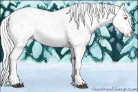 Horse Color:Liver Chestnut Chinchilla Mushroom Near Leopard