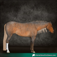 Horse Color:Chocolate Palomino Roan 