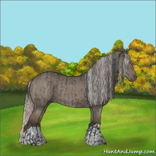 Horse Color:Grullo  and Silver Grullo 