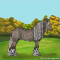 Horse Color:Grullo  and Silver Grullo 