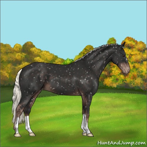 Horse Color:Liver Chestnut Mushroom Snowflake Varnish
